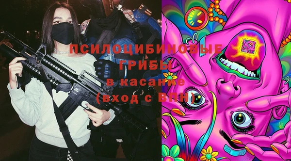 твердый Арсеньев