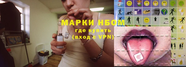 твердый Арсеньев