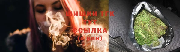 твердый Арсеньев