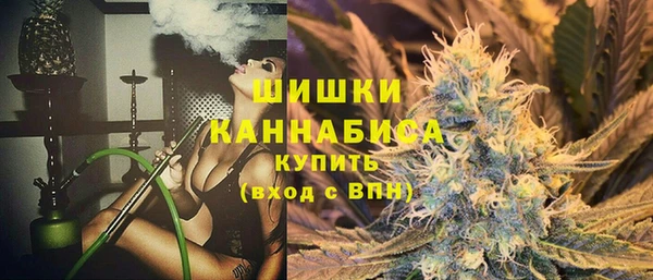 твердый Арсеньев