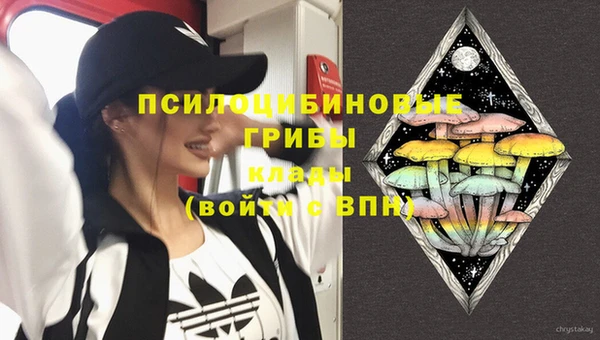 спиды Аркадак