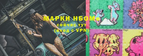 твердый Арсеньев