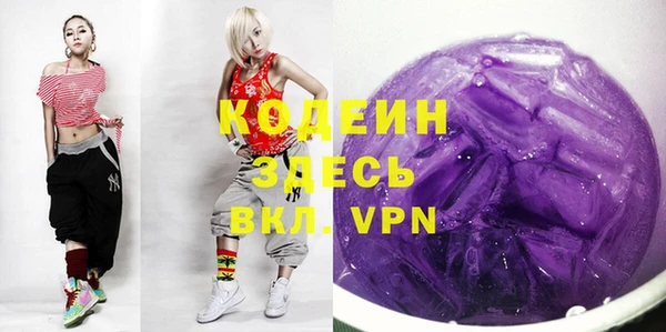 твердый Арсеньев