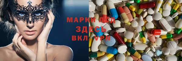 спиды Аркадак