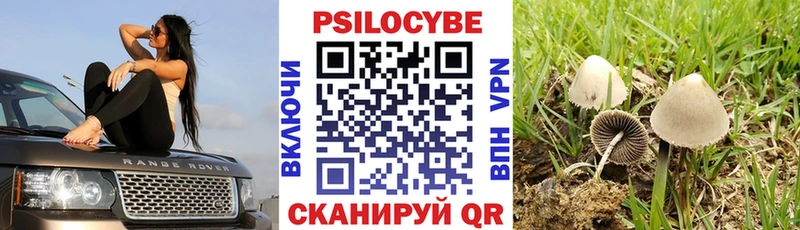 Галлюциногенные грибы мицелий  МЕГА ТОР  Родники 